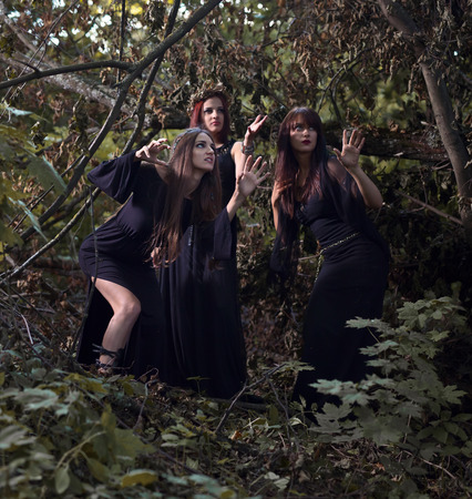 three beautiful young witches in dark forestの写真素材
