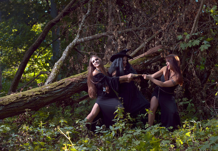 three beautiful young witches in black dressesの写真素材