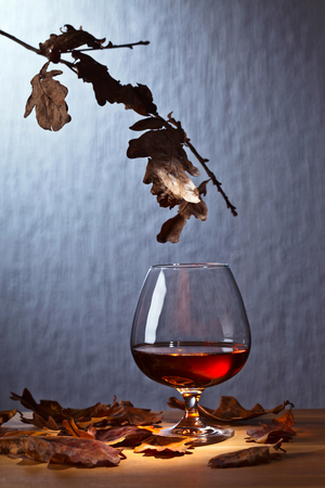 snifter of brandy and dried oak leavesの写真素材