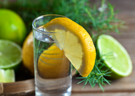 Gin with lemon , lime and  juniper branch