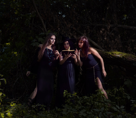 three witches with book in darrk forestの写真素材
