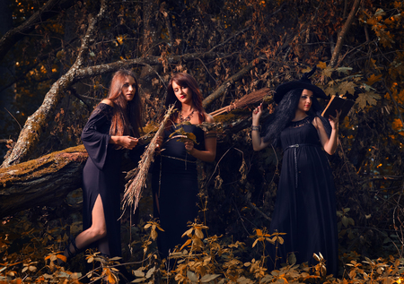 The three witches in a dark forest