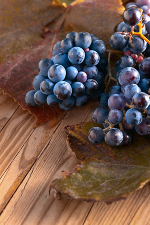 Blue grape with vine leaves on a old wooden tableの写真素材