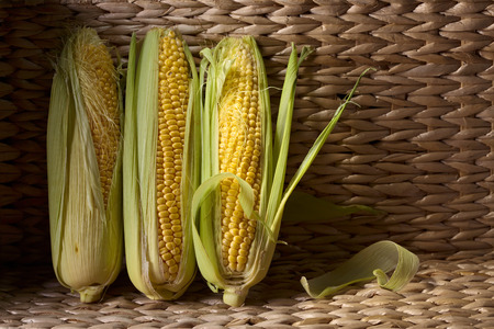 Fresh sweet corn on cobs . Healthy organic food.