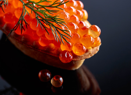 Canape with red caviar on a black reflective background.の写真素材