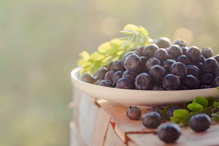  Ripe and juicy fresh picked blueberries closeup. Blueberries with leaves on a white plate.の写真素材