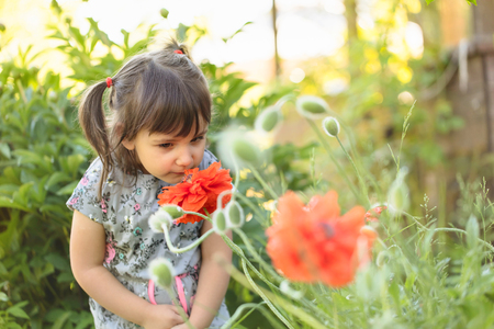 Portrait of a three year old little girl outdoor in  garden smelling the flowers.の写真素材