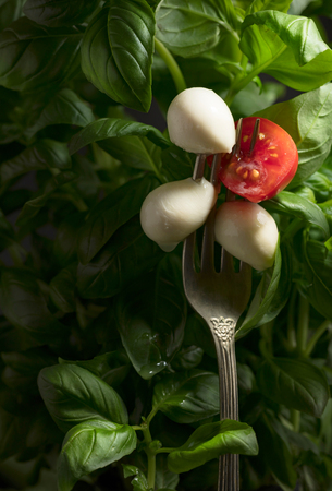 Mini mozzarella cheese balls, cherry tomatoes and green basil. Traditional Italian cuisine.の写真素材