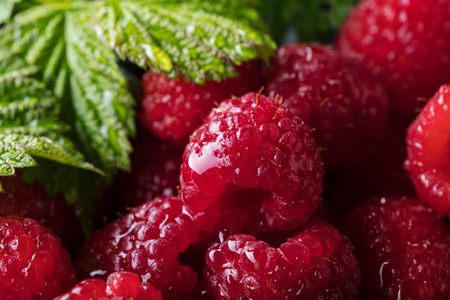 Ripe and juicy fresh picked raspberries with green leaves.