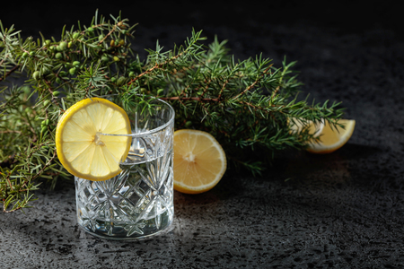 Cocktail gin , tonic with slices of lemon and a sprig of juniper .の写真素材