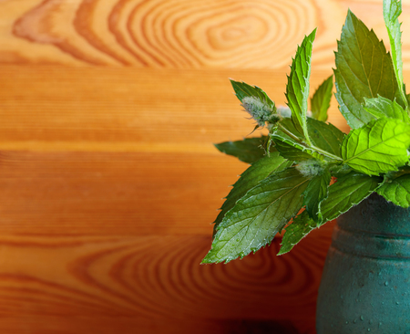 Bunch of fresh green mint leaf on a wooden background.の写真素材