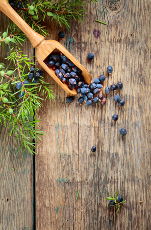 Juniper branch and wooden spoon with berries on a wooden background. Top view, copy space for your text.の写真素材