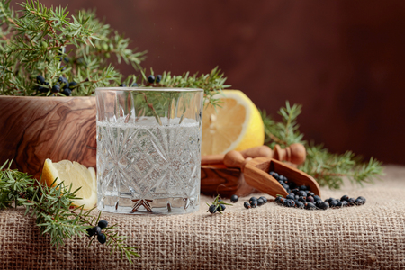 Cocktail gin, tonic with lemon and a branch of juniper with berries. Copy space for your text.の写真素材