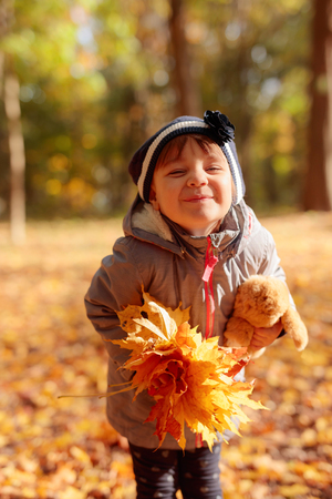 Adorable little girl with yellow maple leaves outdoors at beautiful autumn day. Happy little girl has fun playing with fallen maple leaves.の写真素材