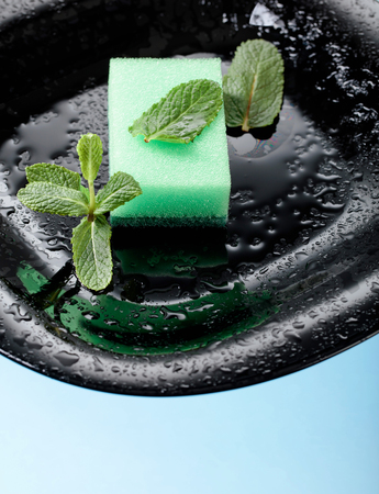 Black plate and dish sponge . Mint branch . Conceptual image on the theme of purity and freshness .