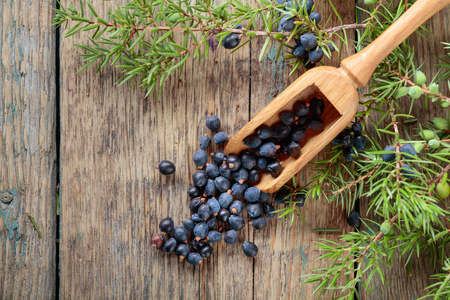Juniper branch and wooden spoon with berries on a wooden background. Top view, copy space for your text.の写真素材