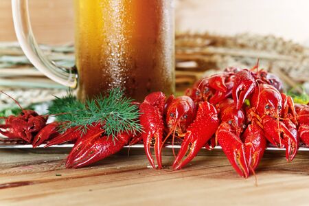 Boiled crayfish with dill and cold beer on wooden table.の写真素材