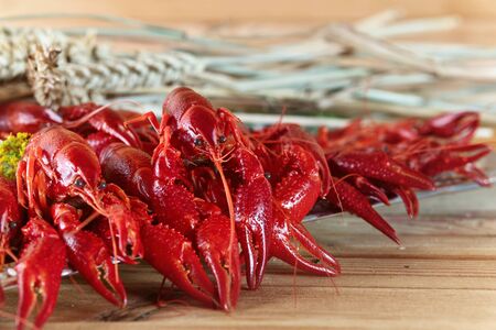 Boiled crayfish with dill on a wooden table.の写真素材