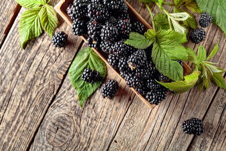 Ripe juicy blackberries with leaves on a old wooden table. Top view.の写真素材