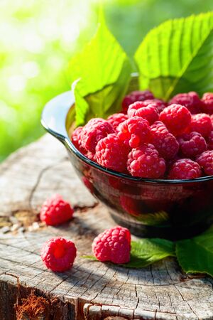 Fresh ripe raspberries in a glass plate on an old stump. Sunny summer day in the forest.
