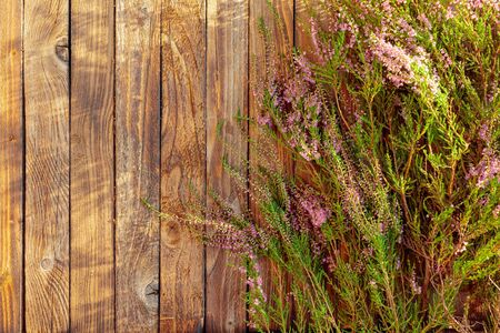 Blooming pink heather (calluna vulgaris) on a rustic wooden background, overhead view. Greeting card in vintage style. Copy space.の写真素材