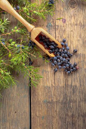 Juniper branch and small wooden spoon with berries on a old wooden background. Top view, copy space for text.の写真素材