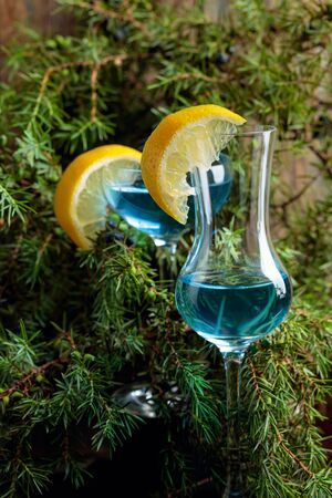 Glasses of blue gin garnished with lemon slices. Blue gin and juniper branches with berries. の写真素材