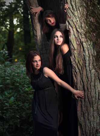 Three young women with long hair in suits of witches in forest. Halloween time.の写真素材