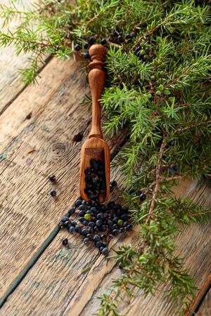 Wooden spoon with seeds of juniper. Juniper branch with berries on a wooden background.の写真素材