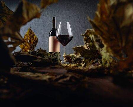 Bottle and glass of red wine on a table with dried vine leaves. Selective focus.  Selective focus.の写真素材