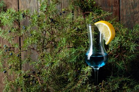 Glass of blue gin garnished with lemon slice. Blue gin and juniper branches with berries. の写真素材