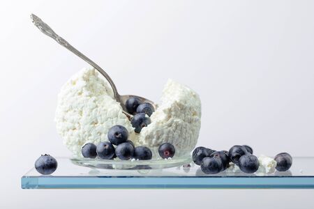 Cottage cheese with blueberries on a white background. Copy space.の写真素材