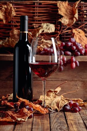 Glass and bottle of red wine with grapes. Wine, grapes and dried up vine leaves on a old wooden table.の写真素材