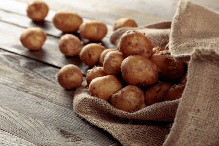 Young fresh organic potatoes on a old wooden table. Copy space.の写真素材