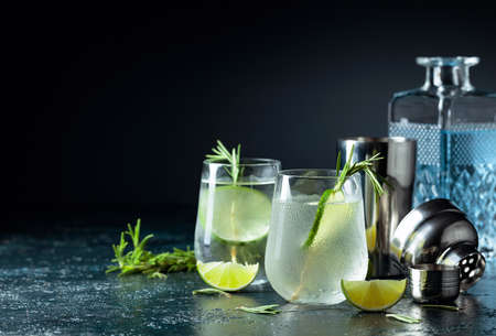 Gintonic with rosemary and lime in frosted glass. Cocktail on a dark background. Copy space.