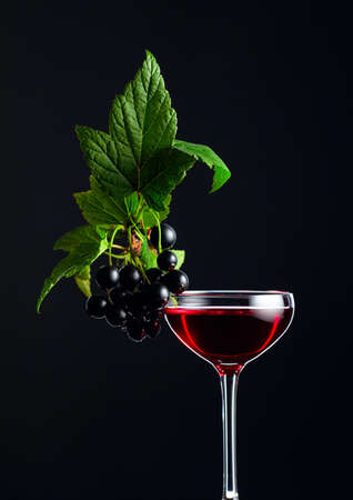 Glass of blackcurrant liqueur or syrup. Sweet drink and branch with leaves and ripe juicy berries on a dark background.の写真素材