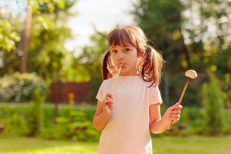 Little girl eats marshmallows toasted over a fire. Summer adventure in the country.の写真素材