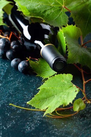 Unopened red wine bottle, vine twig, and ripe grapes on an old blue table. Copy space.の写真素材