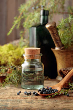 Juniper tincture and juniper berries on an old wooden table. In the background branches of juniper, antique bottle and brass mortar with pestle. Focus on a wooden spoon with berries.の写真素材