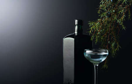Juniper tincture or gin on a black background. In the background branches of juniper and dark glass antique bottle. Copy space.の写真素材