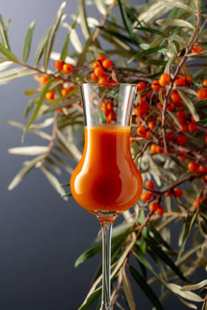 A glass of sea buckthorn vitamin juice with fresh sea buckthorn berries on a branch. Copy space.の写真素材