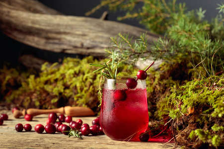 Cranberry cocktail with natural ice and rosemary in frozen glass. In the background berries, moss, juniper branch, and old snag.の写真素材