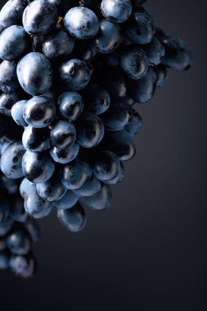 Dark blue grapes on a black background. Copy space.
