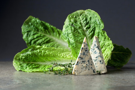 Blue cheese slices with lettuce and thyme. Copy space.の写真素材