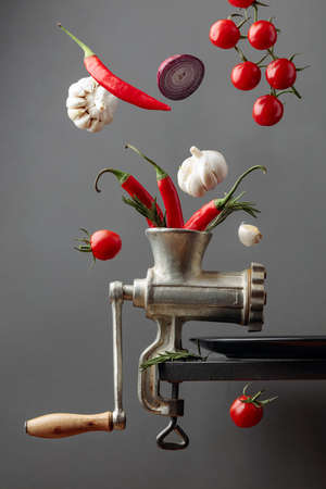 Red hot chili pepper with rosemary, garlic, tomato, and onion. The conceptual image on the topic of...
