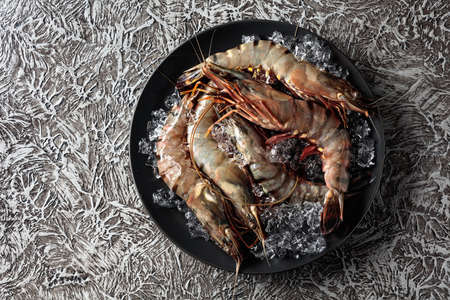 Fresh tiger prawns in a black plate with crushed ice on rough rustic background, top view with copy...