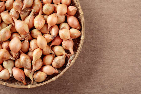 Onion on a table. Top view, copy space.の写真素材