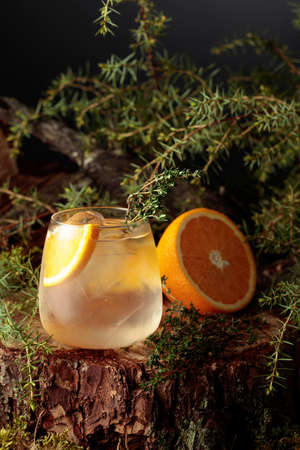 Gin and Tonic cocktail with orange and thyme. A cold iced refreshing drink in a frozen glass.