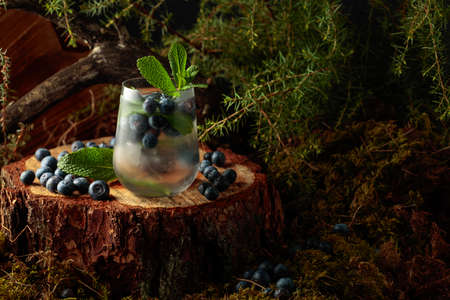 Cocktail with ice, blueberries, and mint on a pine stump in the forest. Summer fresh fruit drink.の写真素材