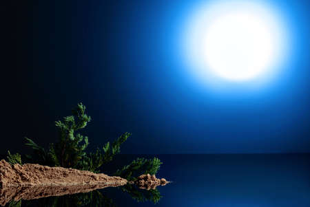 Artificial night landscape on the table with a sprig of juniper. Concept of the theme of vacation in the isolation. Copy space.の写真素材